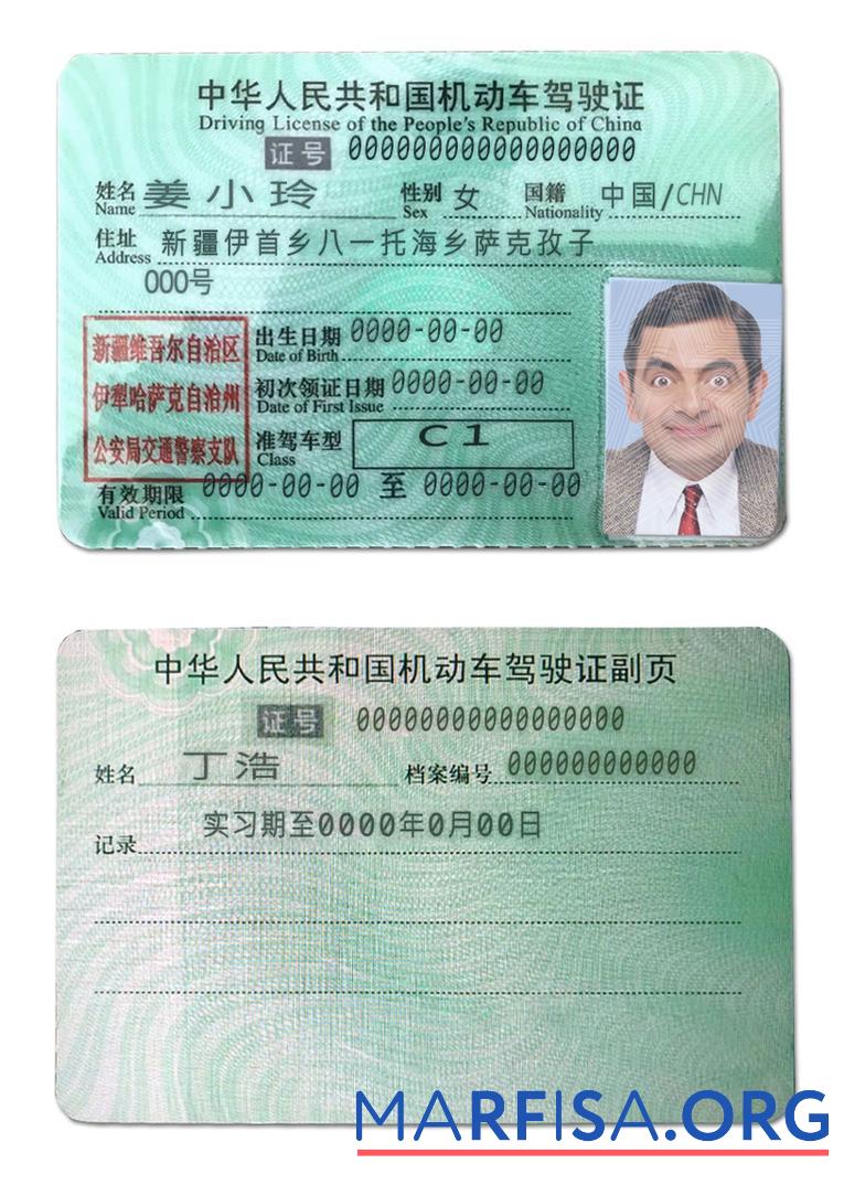 Downloadable China DL sample